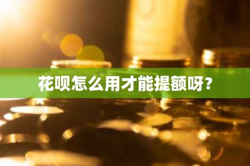 花呗怎么用才能提额呀？
