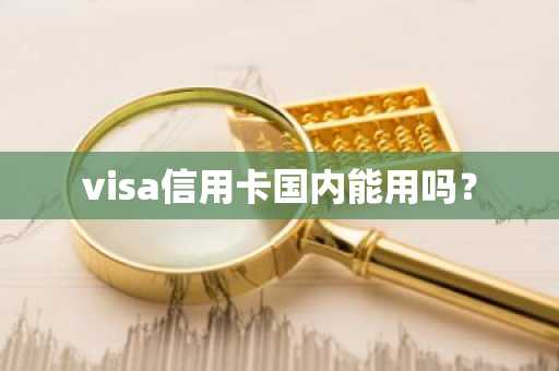visa信用卡国内能用吗？