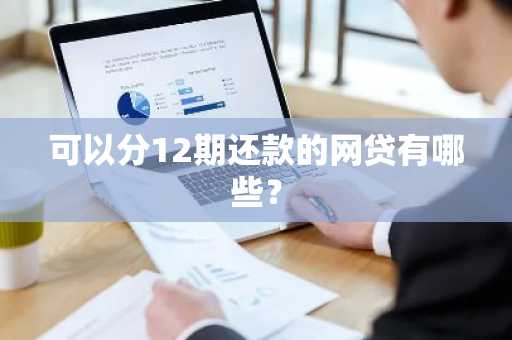 可以分12期还款的网贷有哪些？