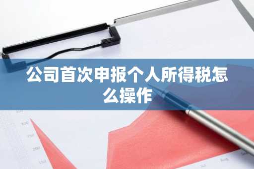 公司首次申报个人所得税怎么操作