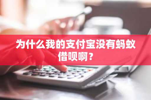 为什么我的支付宝没有蚂蚁借呗啊？