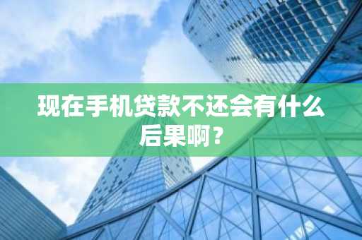 现在手机贷款不还会有什么后果啊？