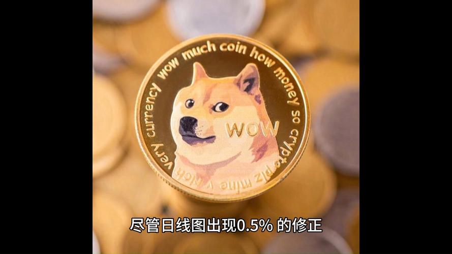 狗狗币的初始价格