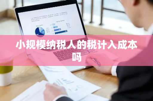 小规模纳税人的税计入成本吗