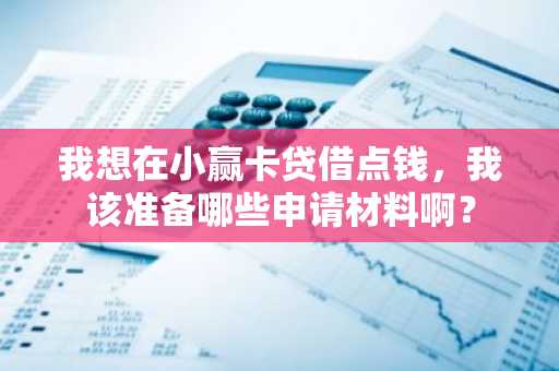 我想在小赢卡贷借点钱，我该准备哪些申请材料啊？