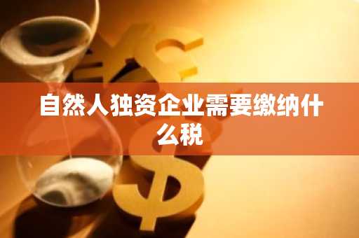 自然人独资企业需要缴纳什么税