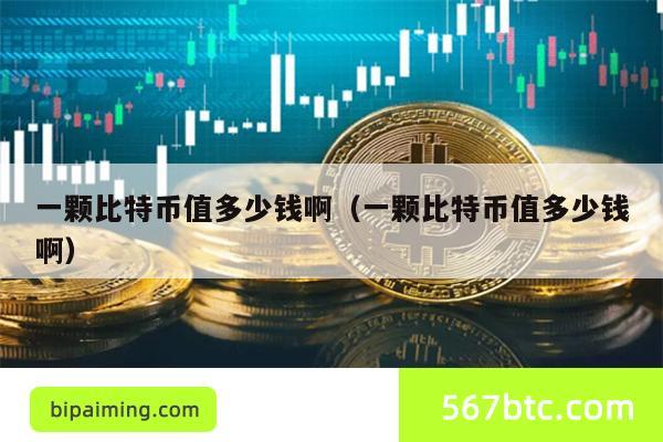 一颗比特币值多少钱啊（一颗比特币值多少钱啊）