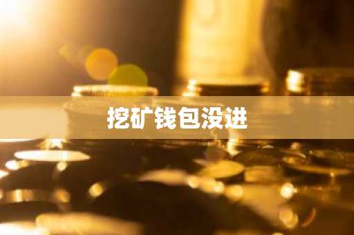 挖矿钱包没进