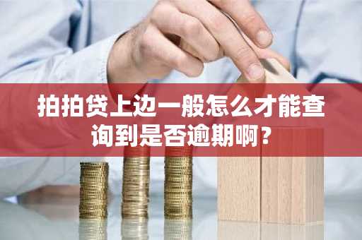 拍拍贷上边一般怎么才能查询到是否逾期啊？