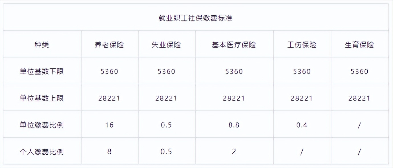 个人社保交费（个人社保交费怎么交）