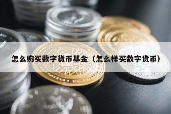 怎么购买数字货币基金（怎么样买数字货币）