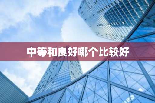中等和良好哪个比较好
