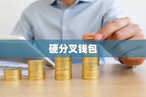 硬分叉钱包