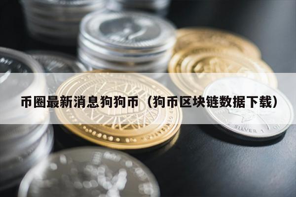 币圈最新消息狗狗币（狗币区块链数据下载）