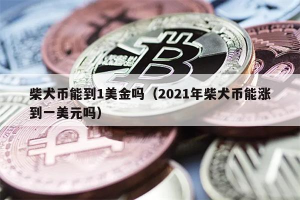 柴犬币能到1美金吗（2021年柴犬币能涨到一美元吗）