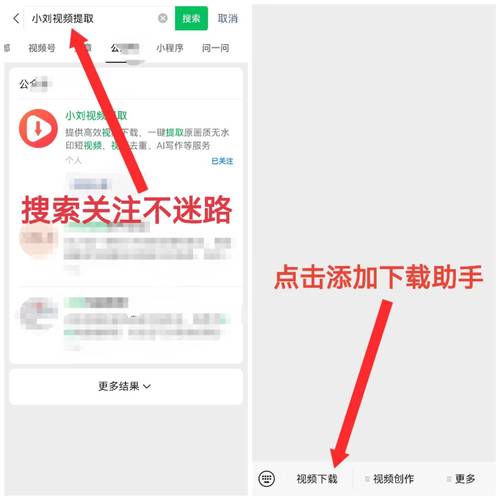 派币最新视频直播下载安装