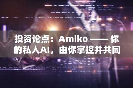 投资论点：Amiko —— 你的私人AI，由你掌控并共同进化